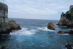 e7348db7-d2d2-4572-85f3-8a164cdbf71c